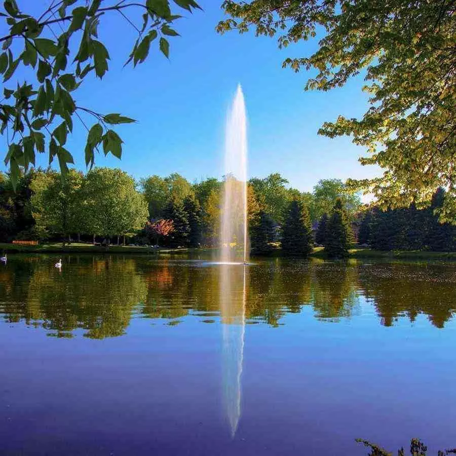 1-1/2 HP Gusher Fountain by Scott Aerator