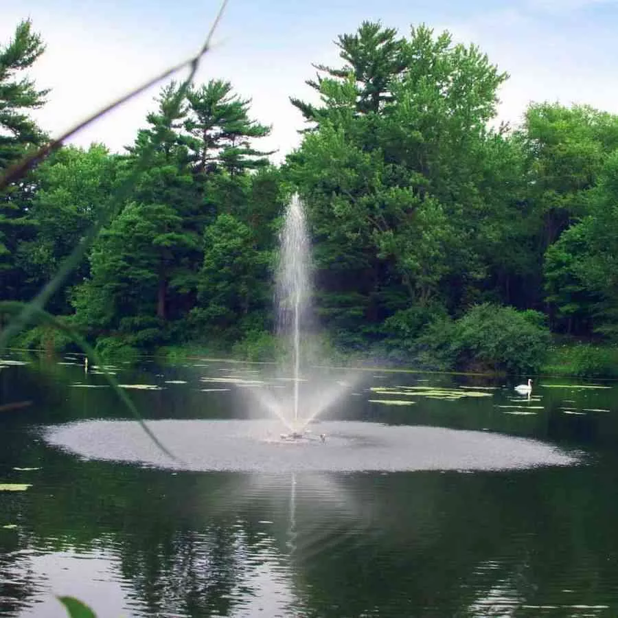 1 HP Skyward Fountain by Scott Aerator
