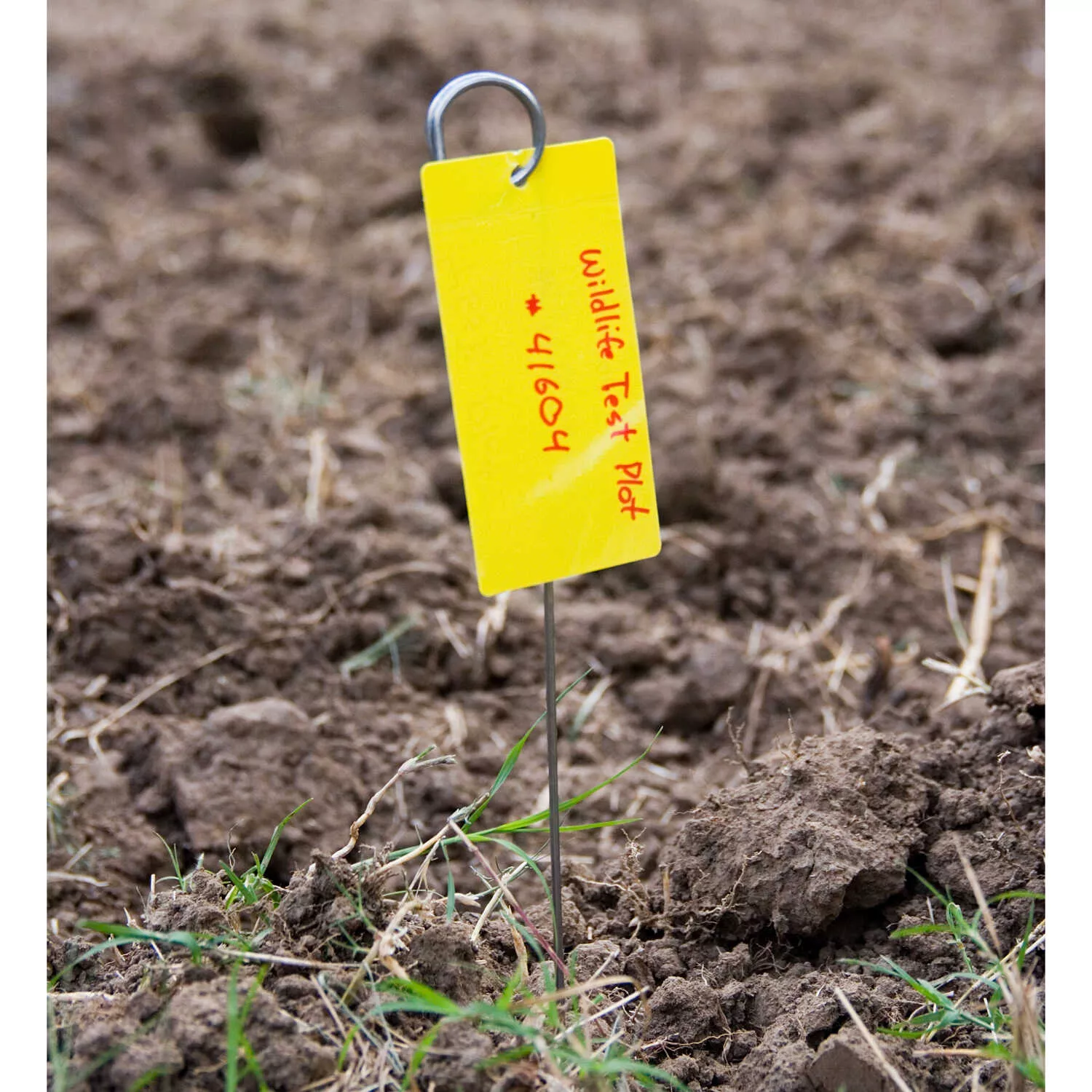 18” Tag Stake