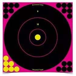 Birchwood Casey Shoot-N-C 12in Pink Bullseye Target 34027