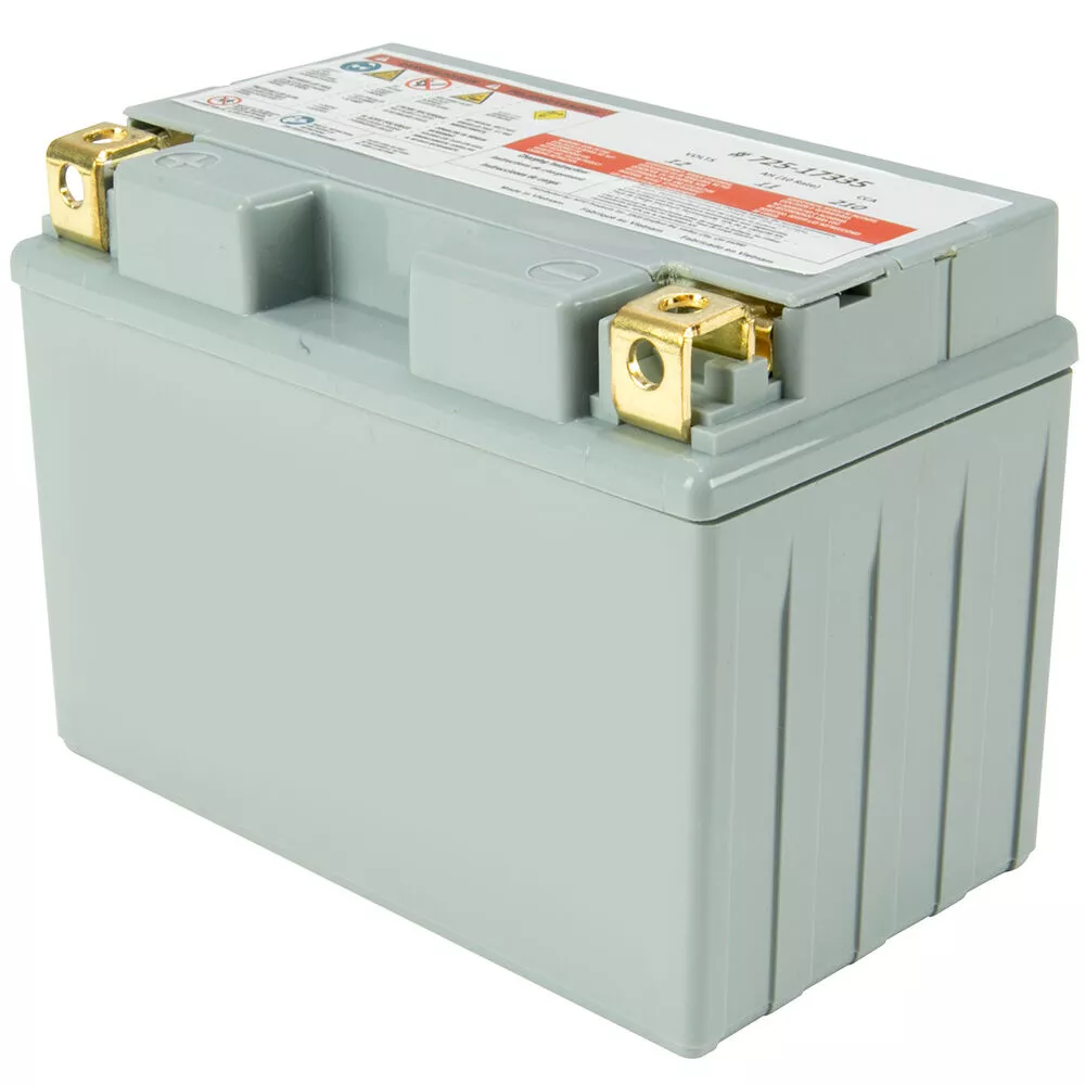 Cub Cadet 12-Volt Absorbent Glass Mat (AGM) Battery - 210 CCA