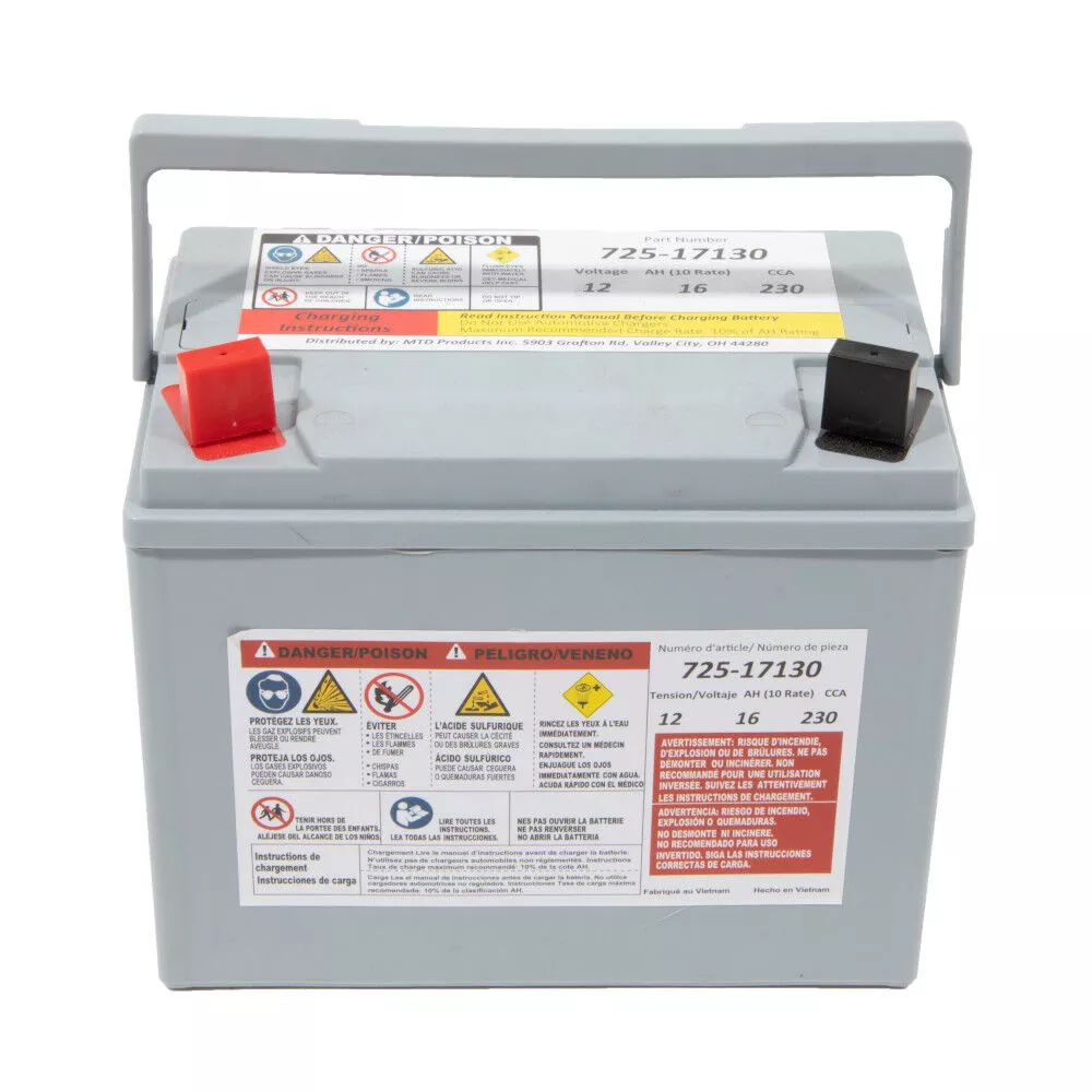 Cub Cadet 12-Volt Absorbent Glass Mat (AGM) Battery - 230 CCA