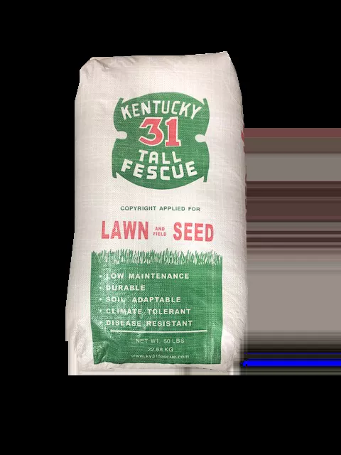 Kentucky 31 Tall Fescue Grass Seed 50lb