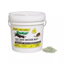 Motomco Tomcat Rat and Mouse Bait 10lb Pail