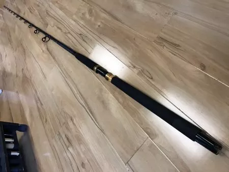 Pier Rat 10' 30-60#