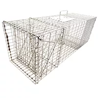 Racoon Trap