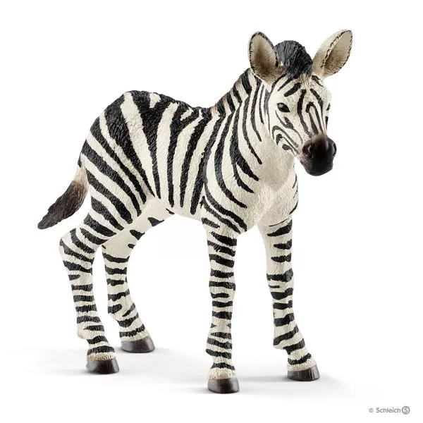 Schleich Zebra Foal Toy Figurine 14811