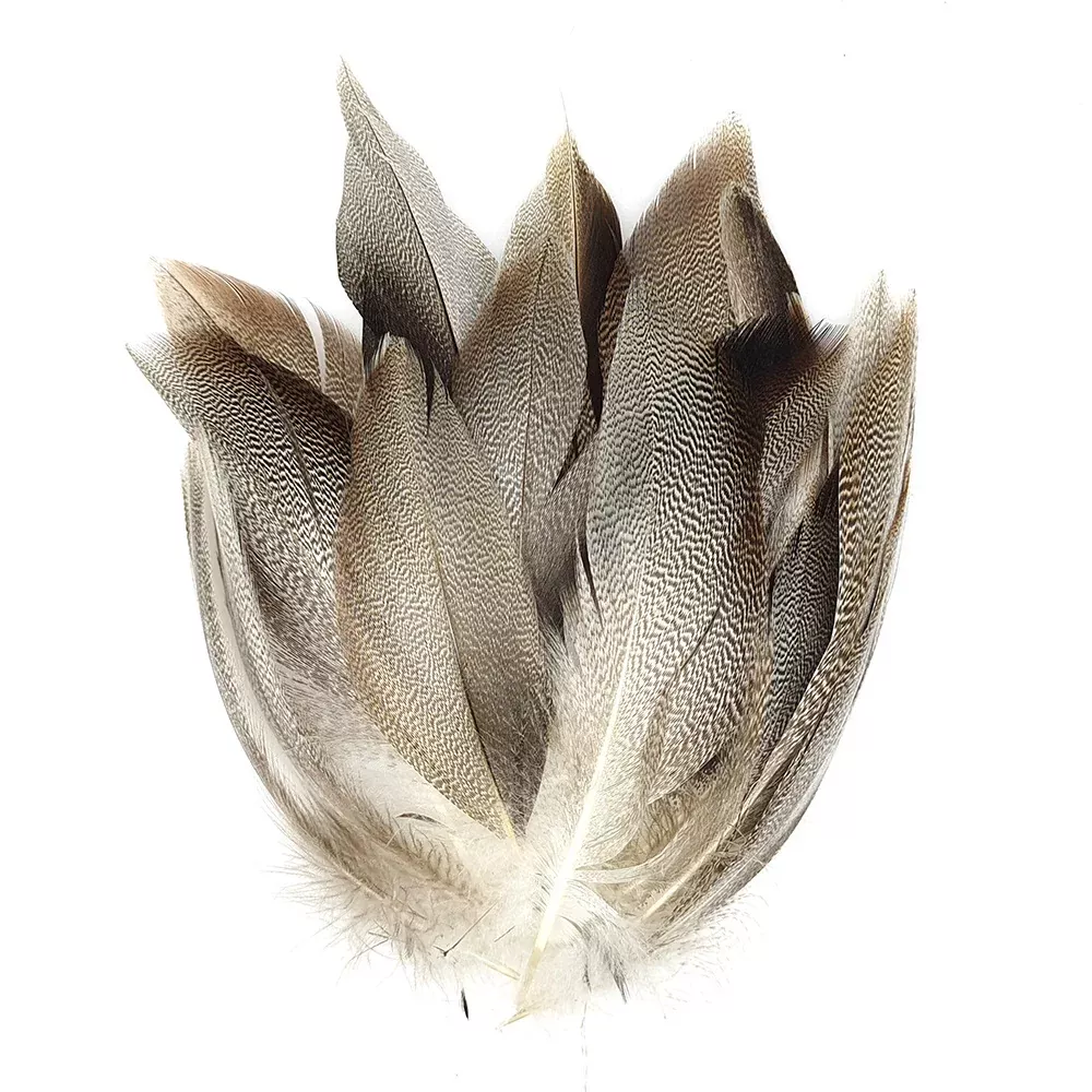 Wild Duck Feather