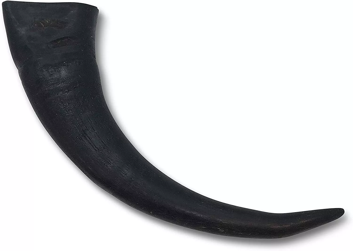 Wild Eats Large Water Buffalo Horn Dog Treat
